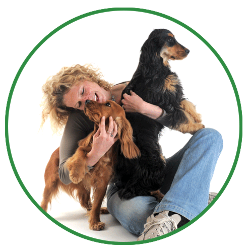 Drontal For Dogs Vetoquinol Pet Uk
