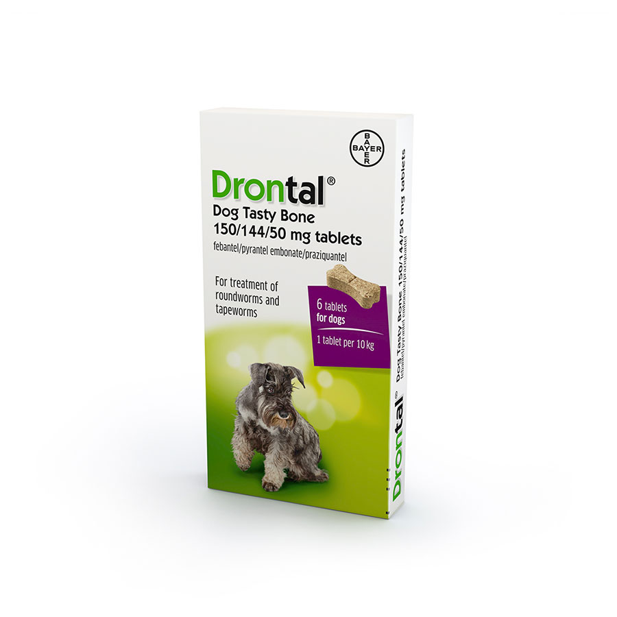 drontal puppy wormer pets at home