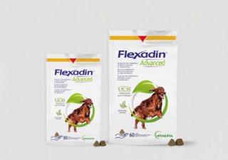 Flexadin Advanced