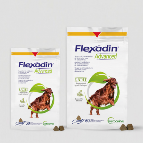 Flexadin Advanced® | Vetoquinol Pet UK