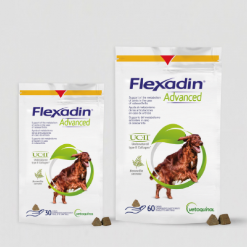 Flexadin Advanced