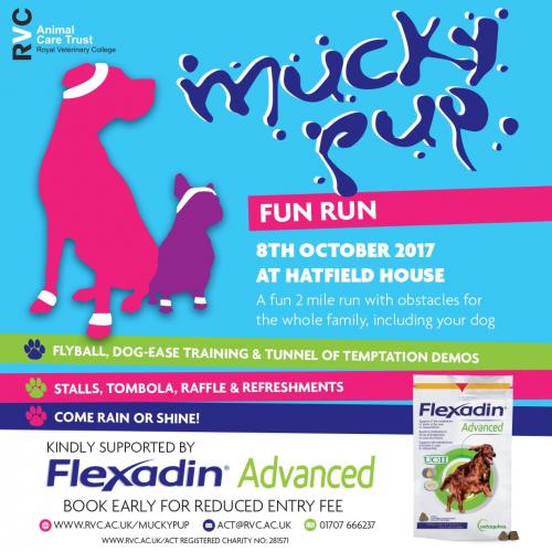 Mucky Pup Fun Run at Hatfield House Oct 2017